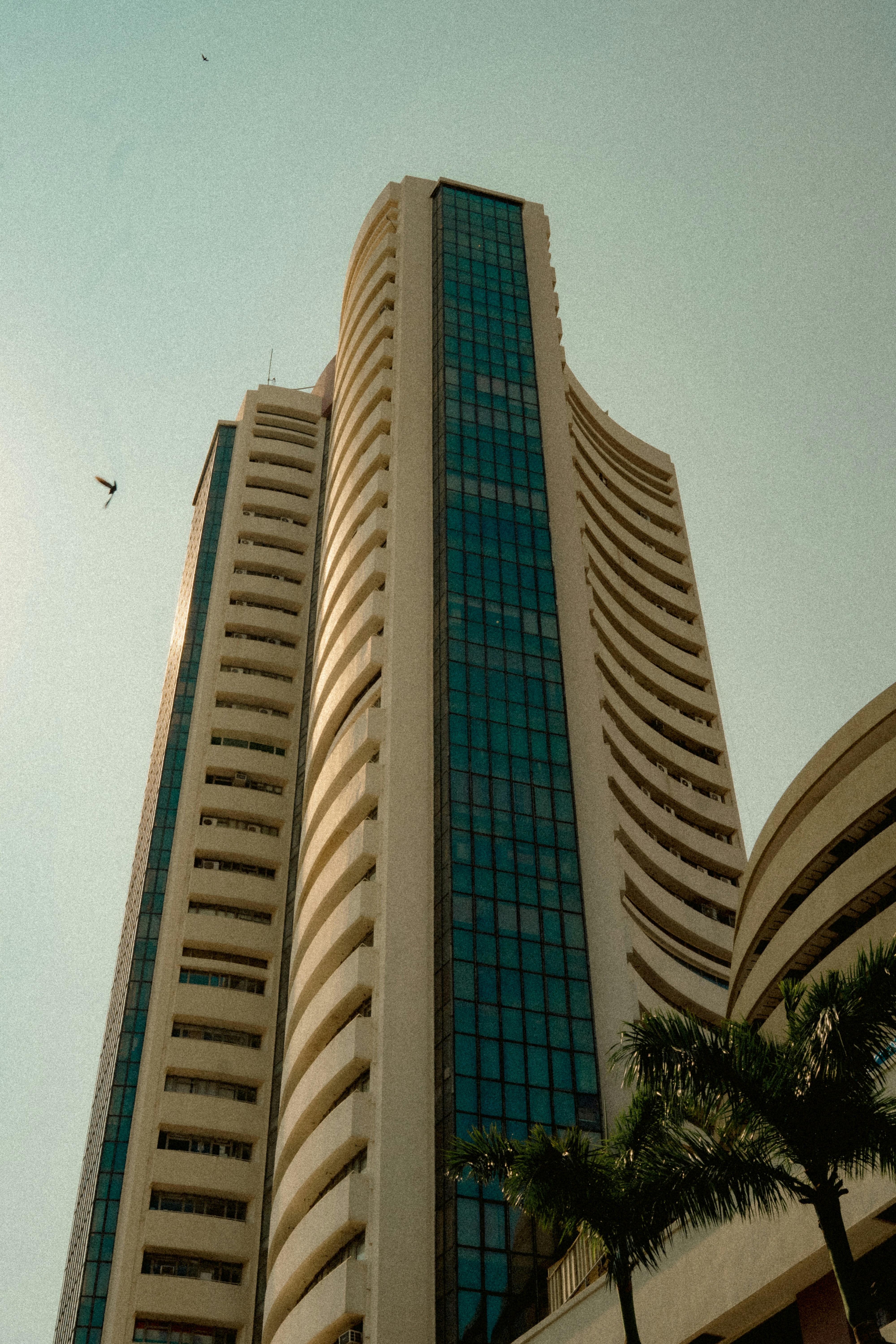 Stock market chart showing growth, symbolizing NRI investment in Indian equities