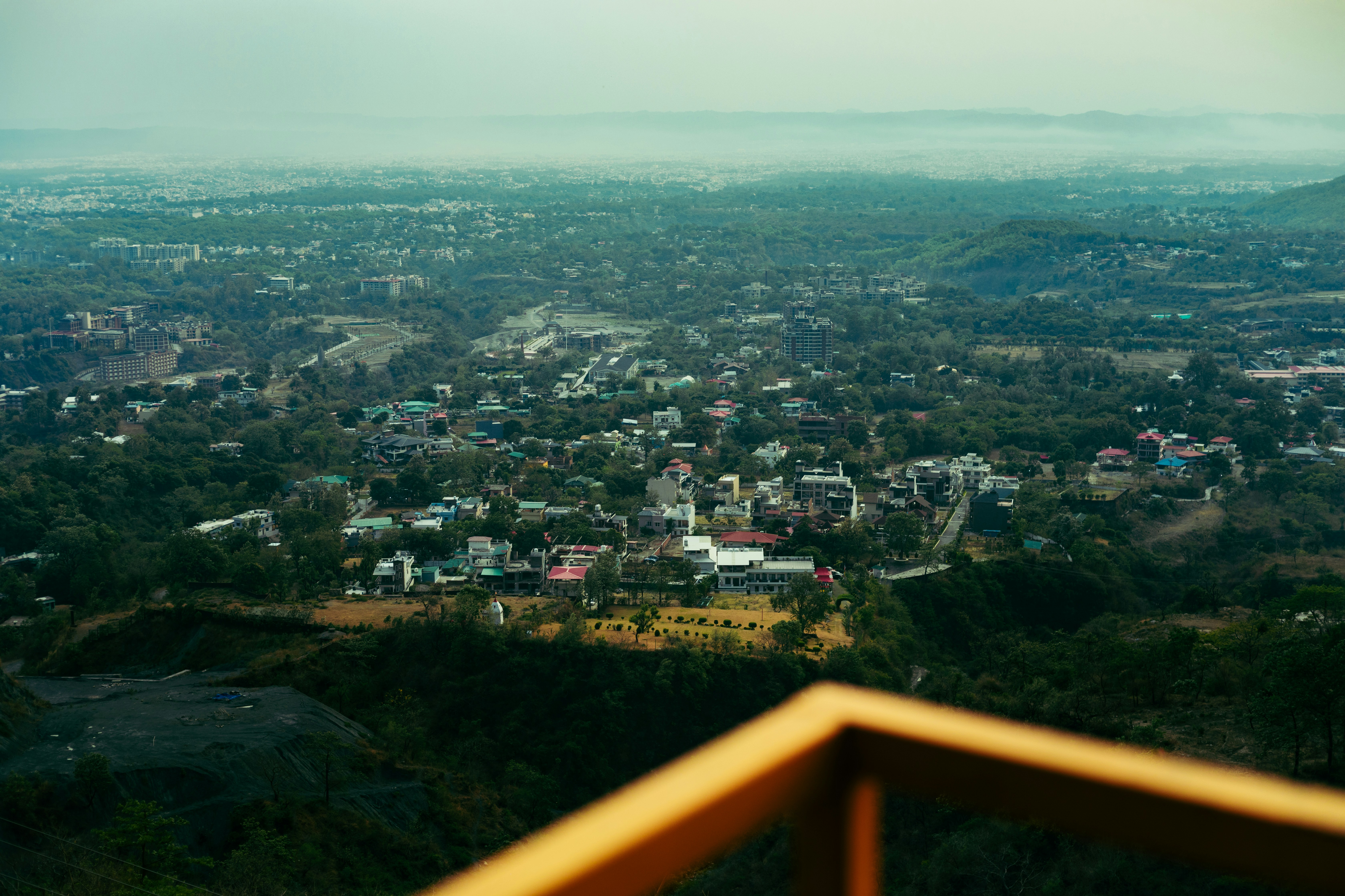 Tree-lined residential street in Dehradun with hillside backdrop