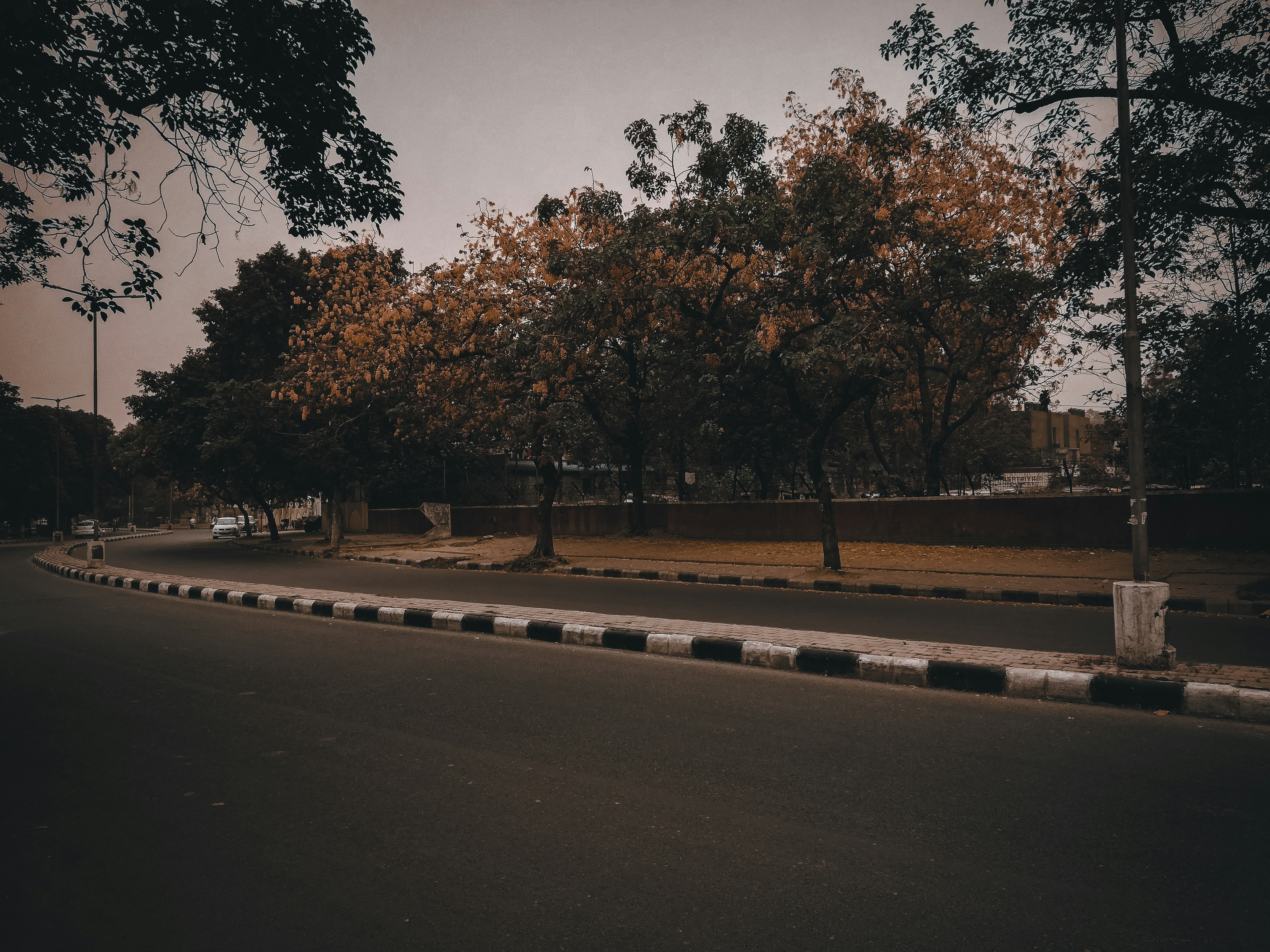 Tree-lined residential neighbourhood in Chandigarh with parks and sector roads