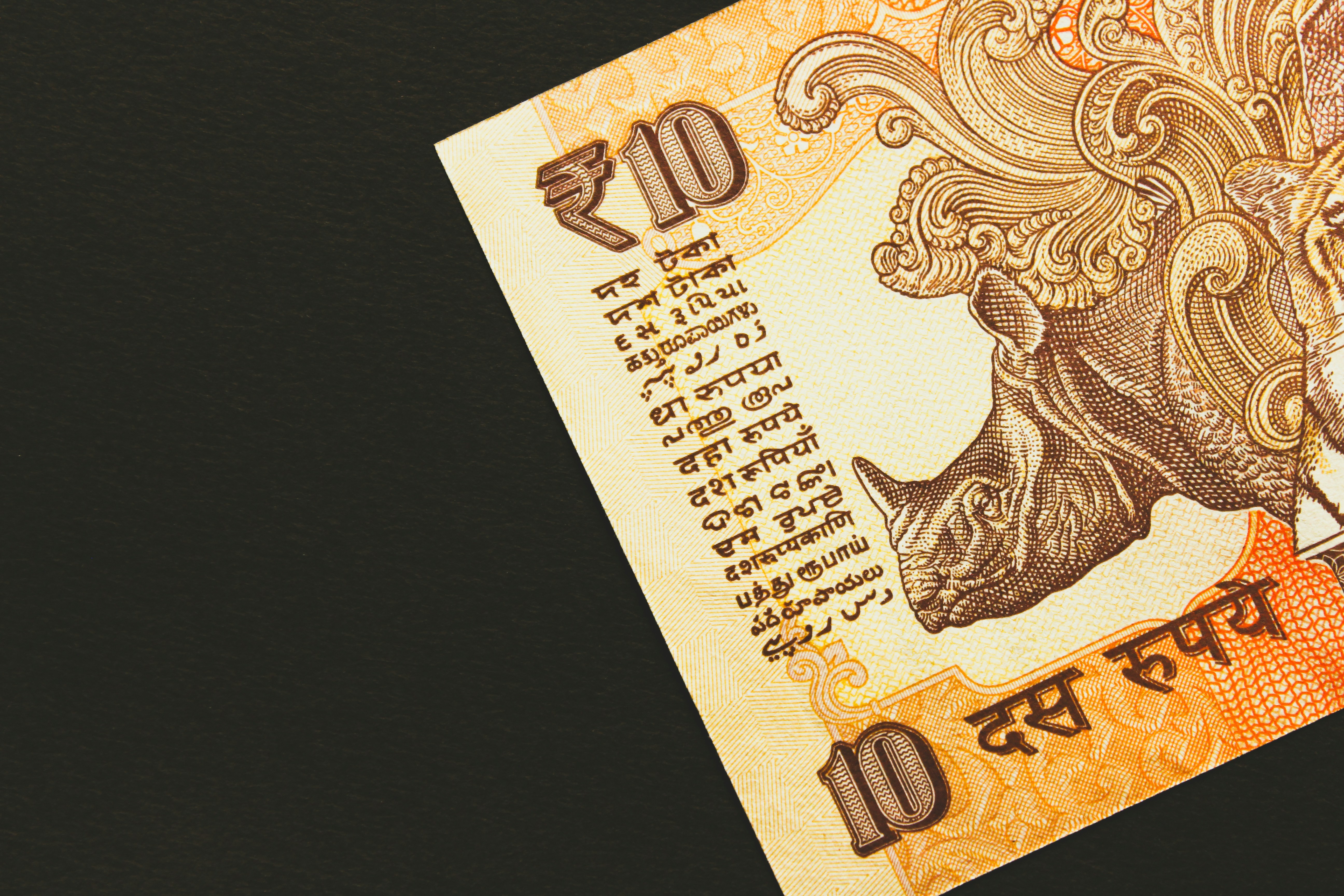 Municipal officer reviewing property tax arrears in India