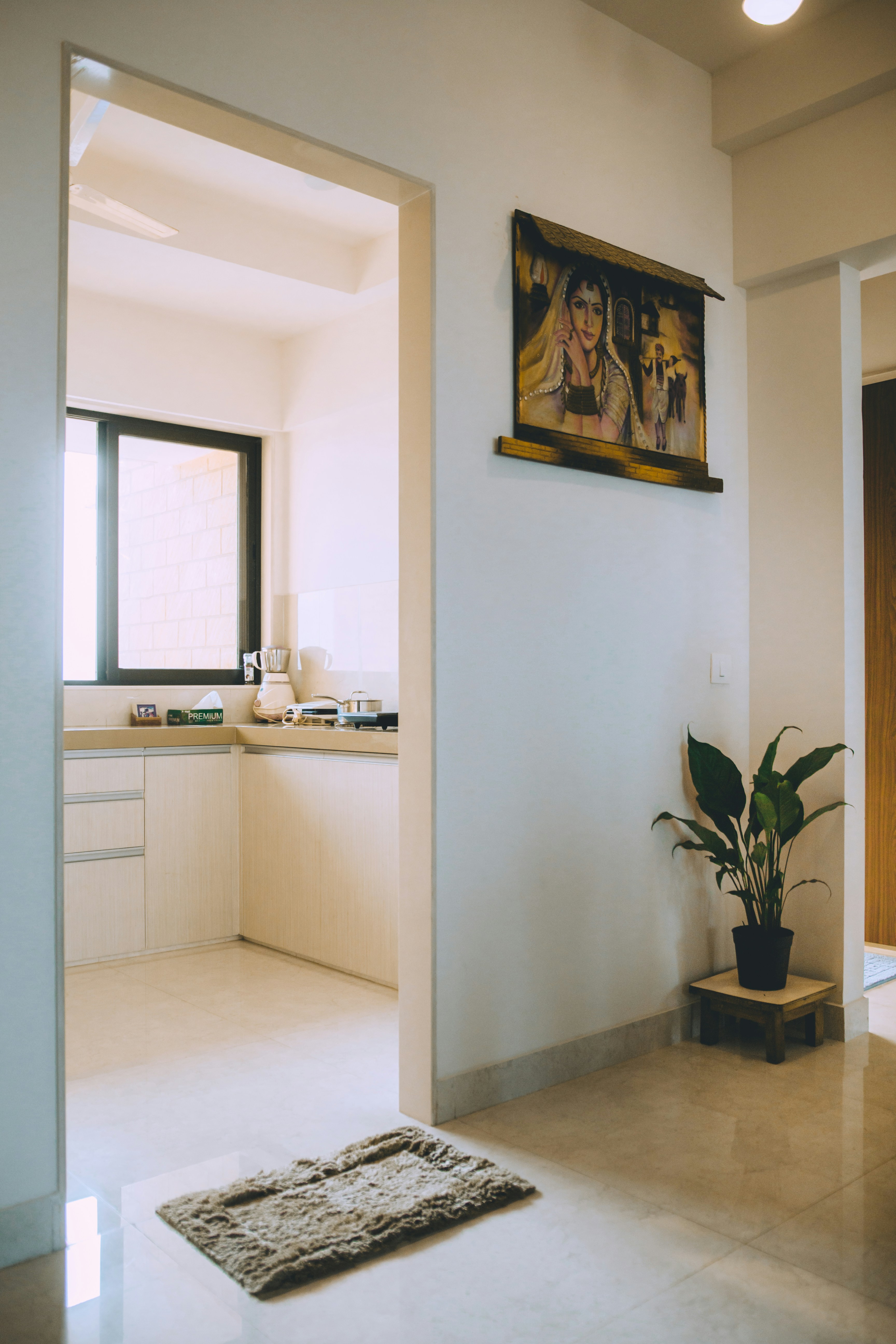 Illustration explaining what carpet area means in an apartment layout